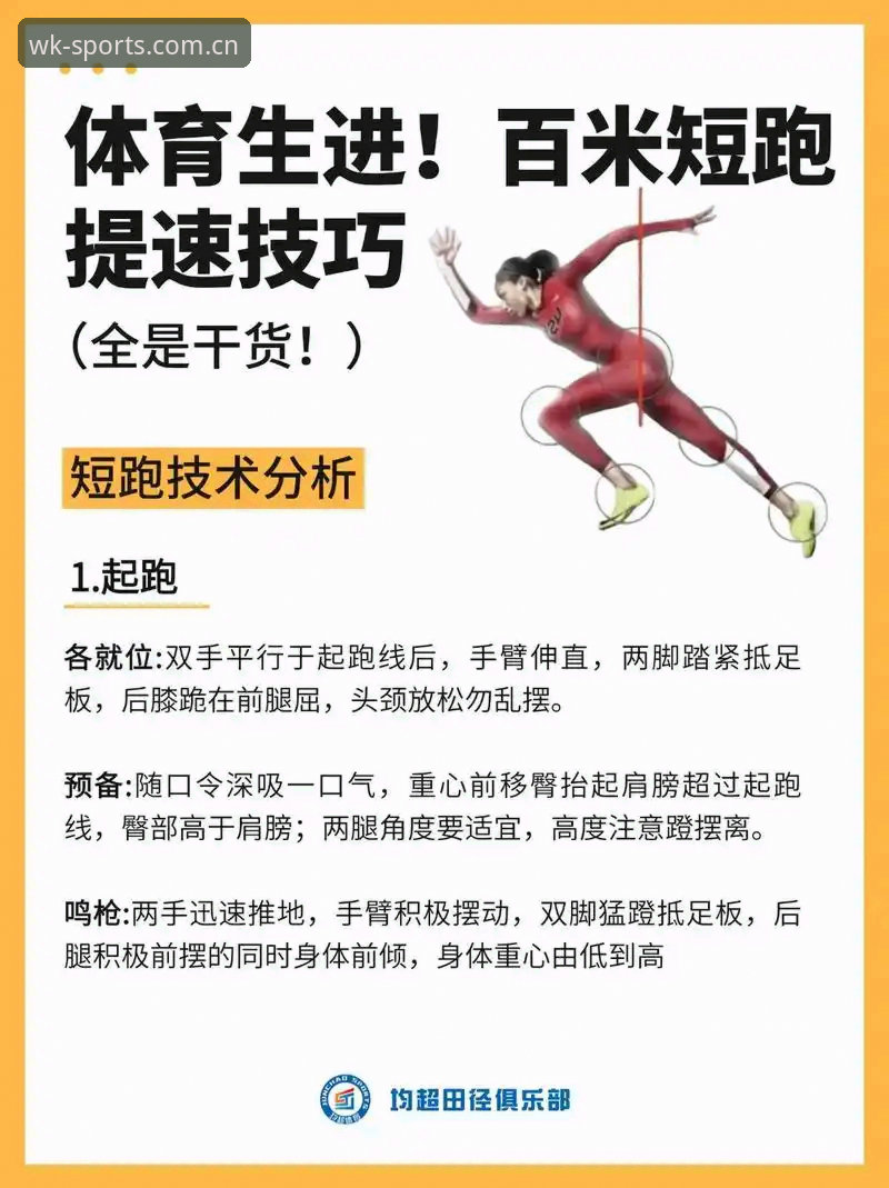 悟空体育新手教程使用指南：从零到高手的实用技巧与必备知识